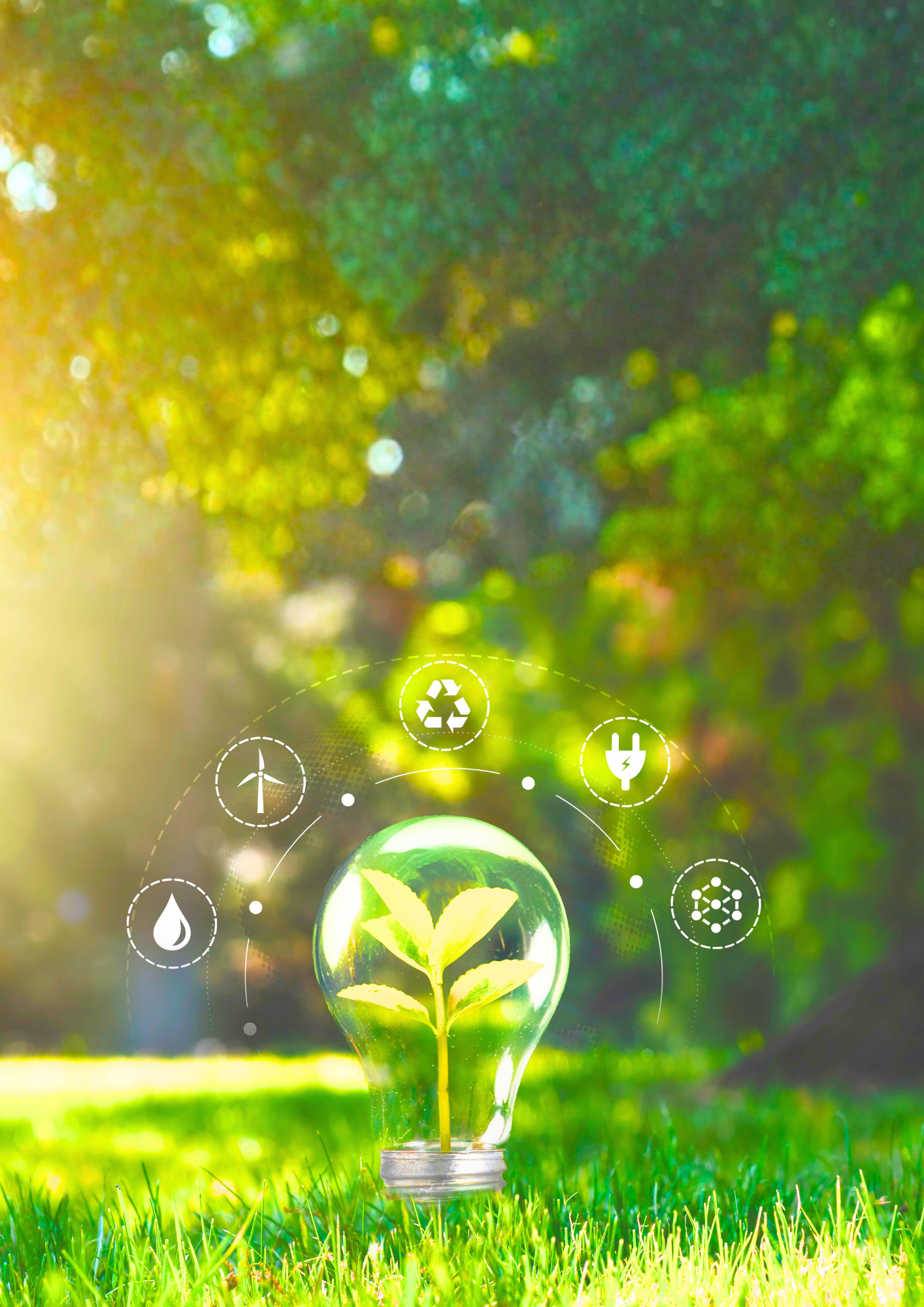 Sustainability Environment